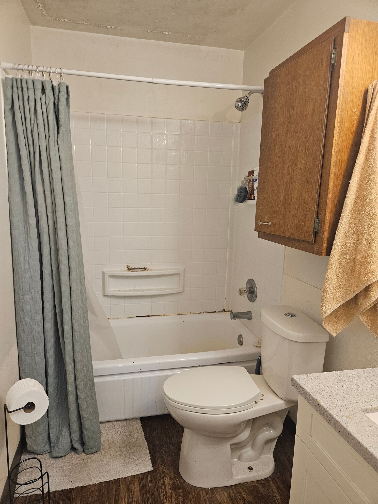Bathroom 1a - 329 W Benton St