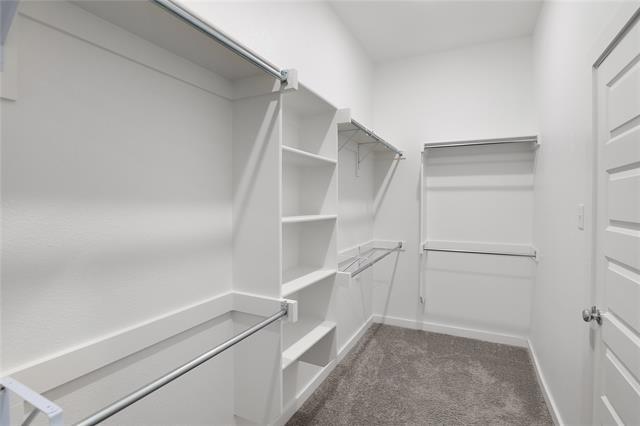 Building Photo - 221 Caliber Ct