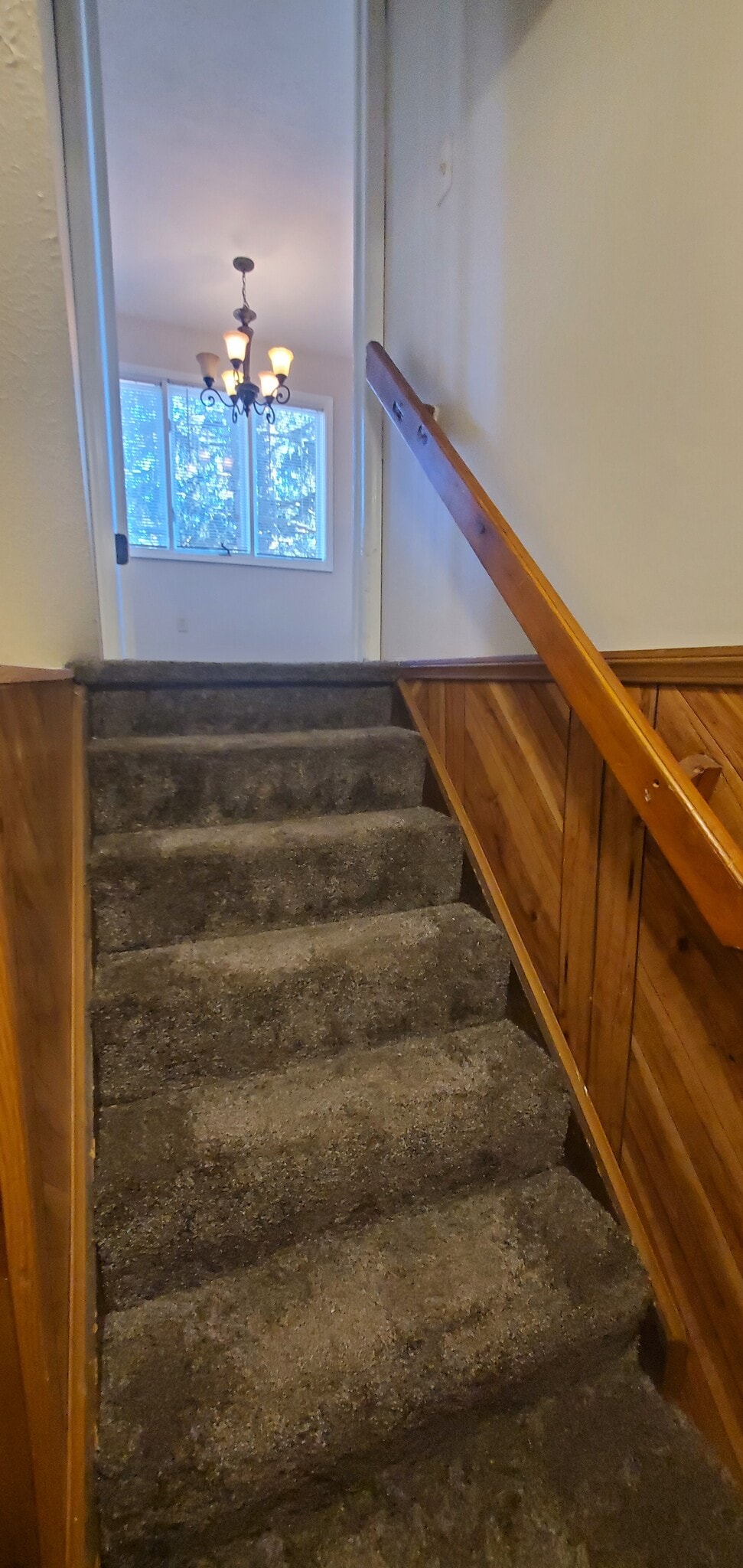 Stairs to finished basement off dining room - 1110 Timbercreek Dr
