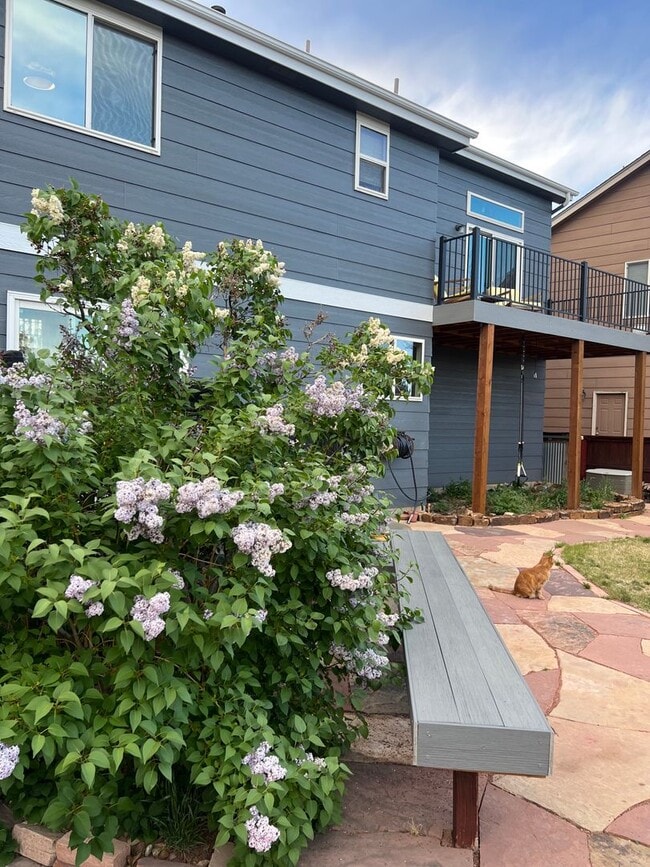 Building Photo - August 2025 - SFH 3 Bedroom + Bonus Room &...