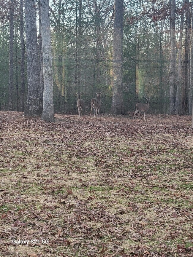 Building Photo - 6036 Seneca Trail