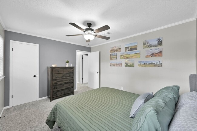 Building Photo - 223 Birchwood Dr