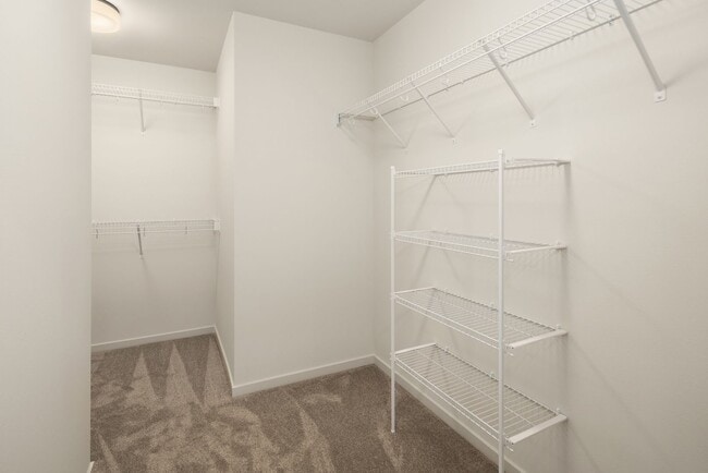 Building Photo - MAJOR RENT REDUCTION Brand New 4-Bedroom H...
