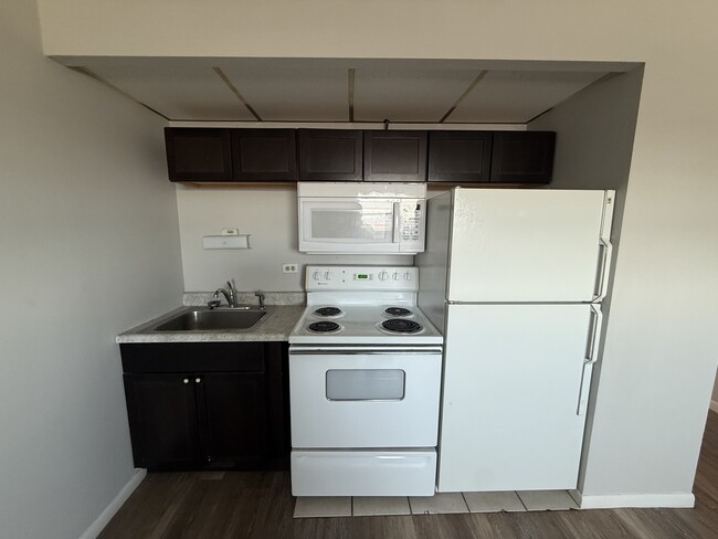 Building Photo - 1128 Des Plaines Ave