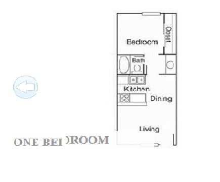 1BR/1BA - The Palms on Lamar