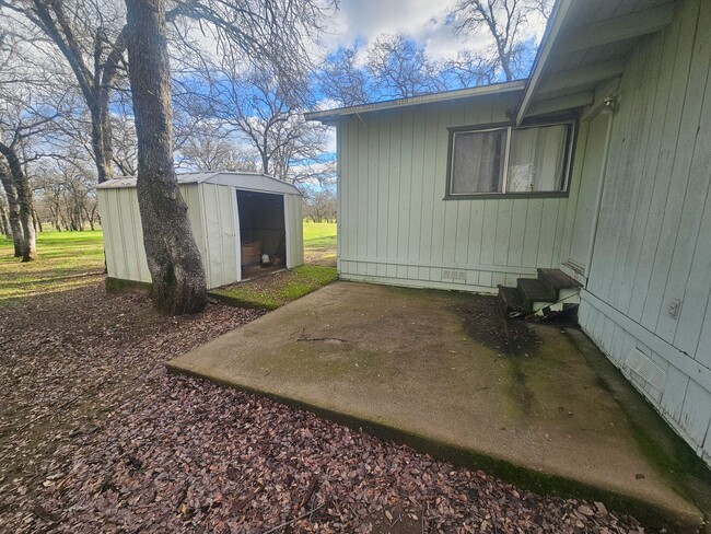 Building Photo - Spacious Home in the Country!