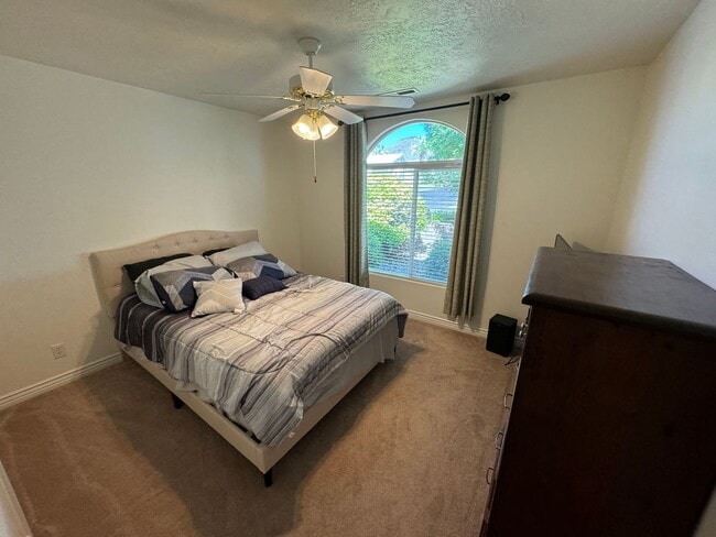 Building Photo - Paradise Cove Home!