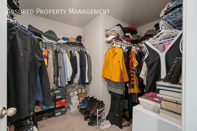 Building Photo - 2519 Sweet Viburnum Wy