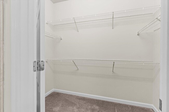 Building Photo - 4313 Beauty Leaf Cir