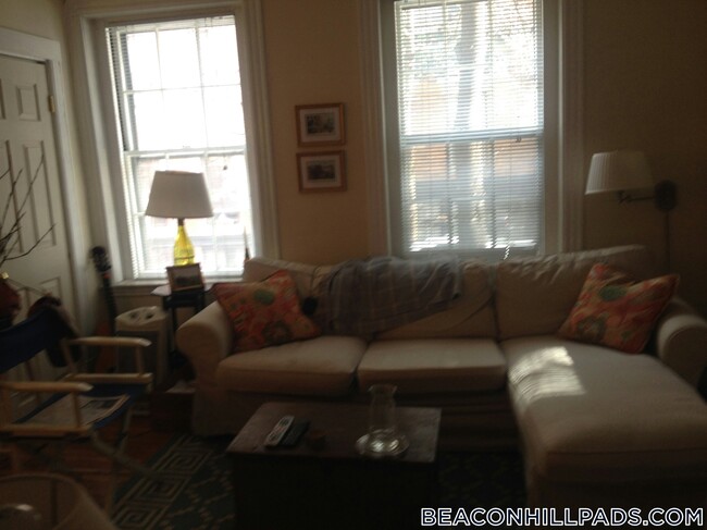 Building Photo - 41 Anderson St