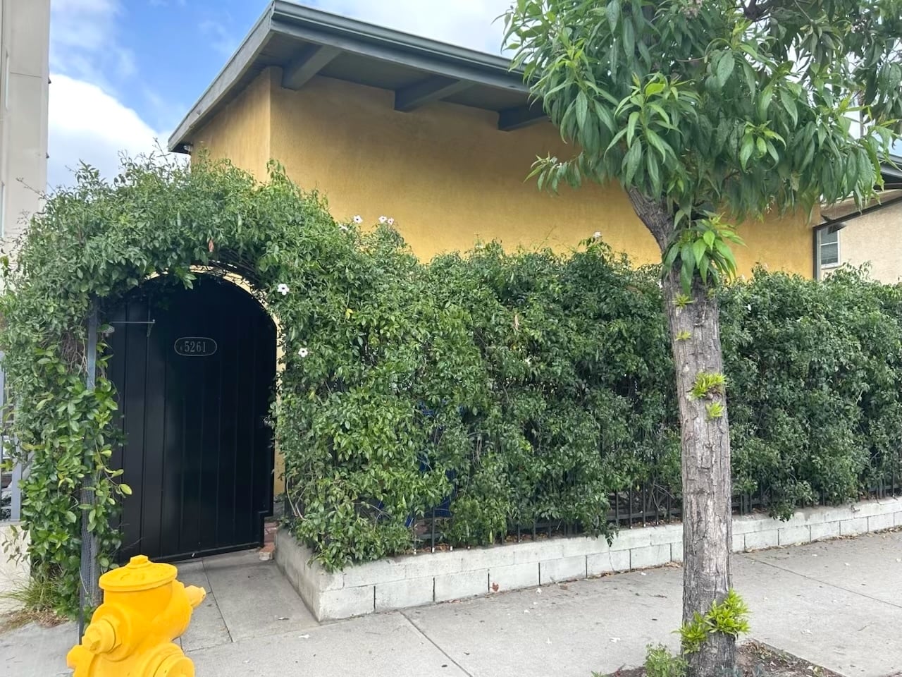 Building Photo - 5261 Cahuenga Blvd