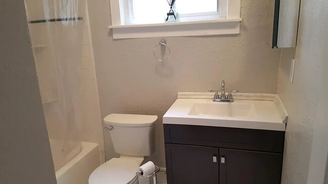 Bathroom - 133 Muir Rd