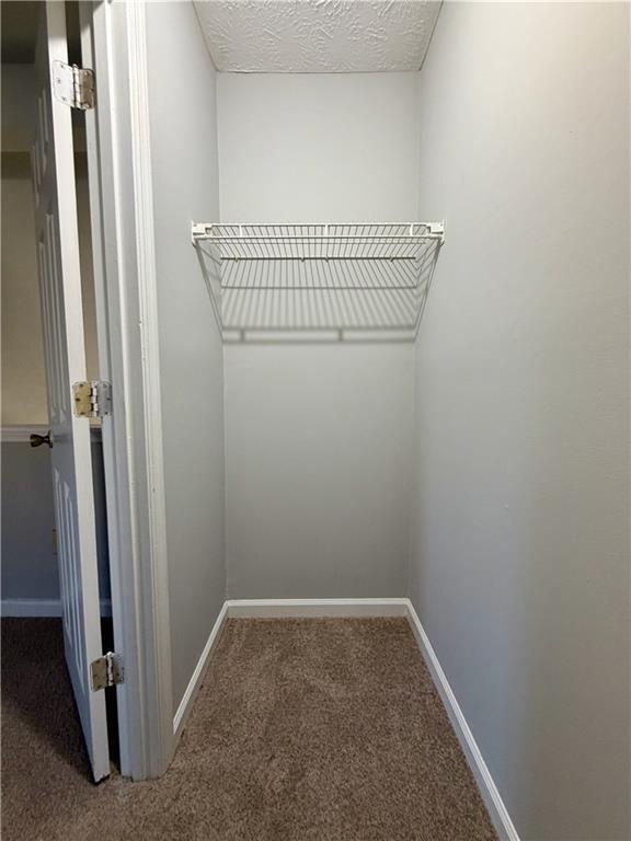 Building Photo - 1911 Shenandoah Valley Ln SE