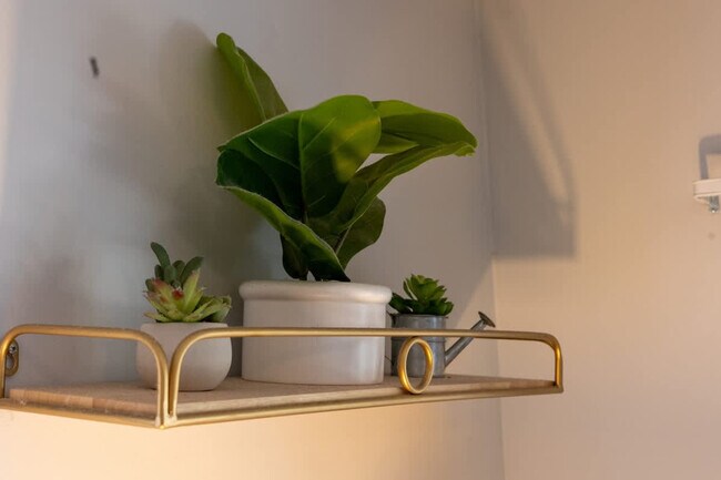 Building Photo - 123 Oconee St