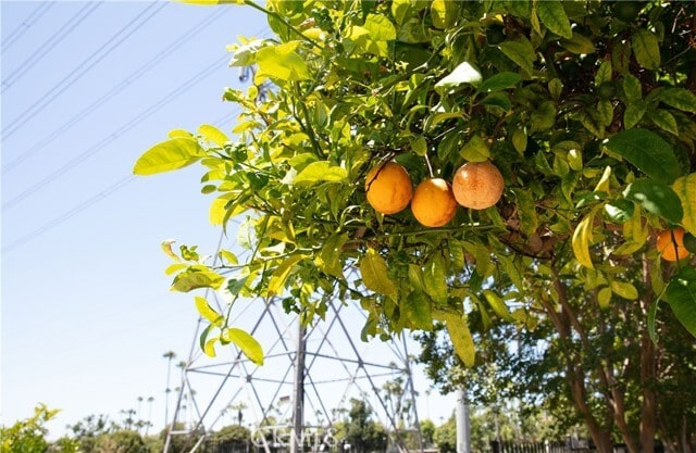 Building Photo - 1203 Laster Ave