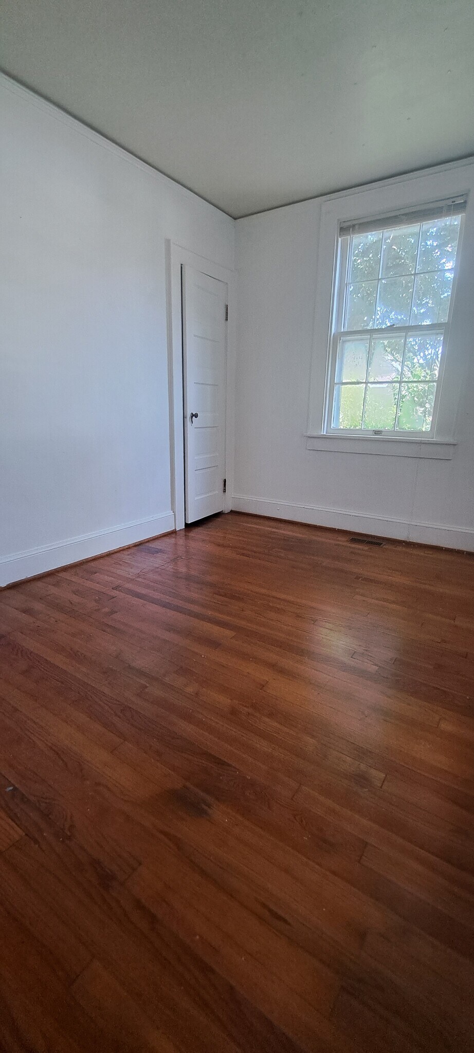 rear bedroom - 315 Bosley Ave