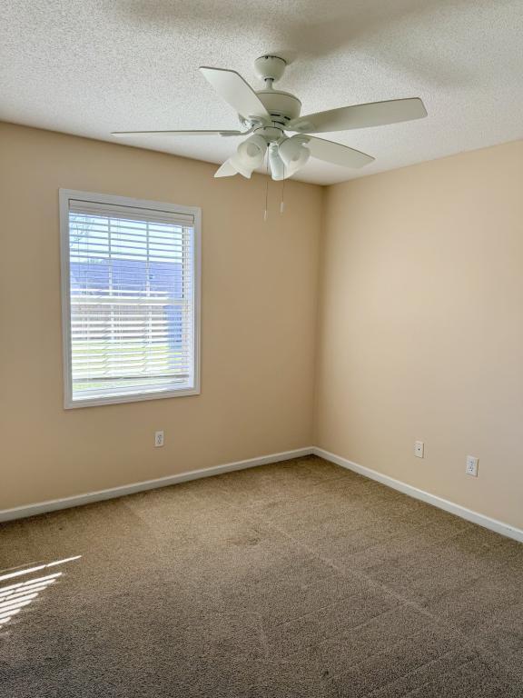 Building Photo - 103 Fieldstone Dr