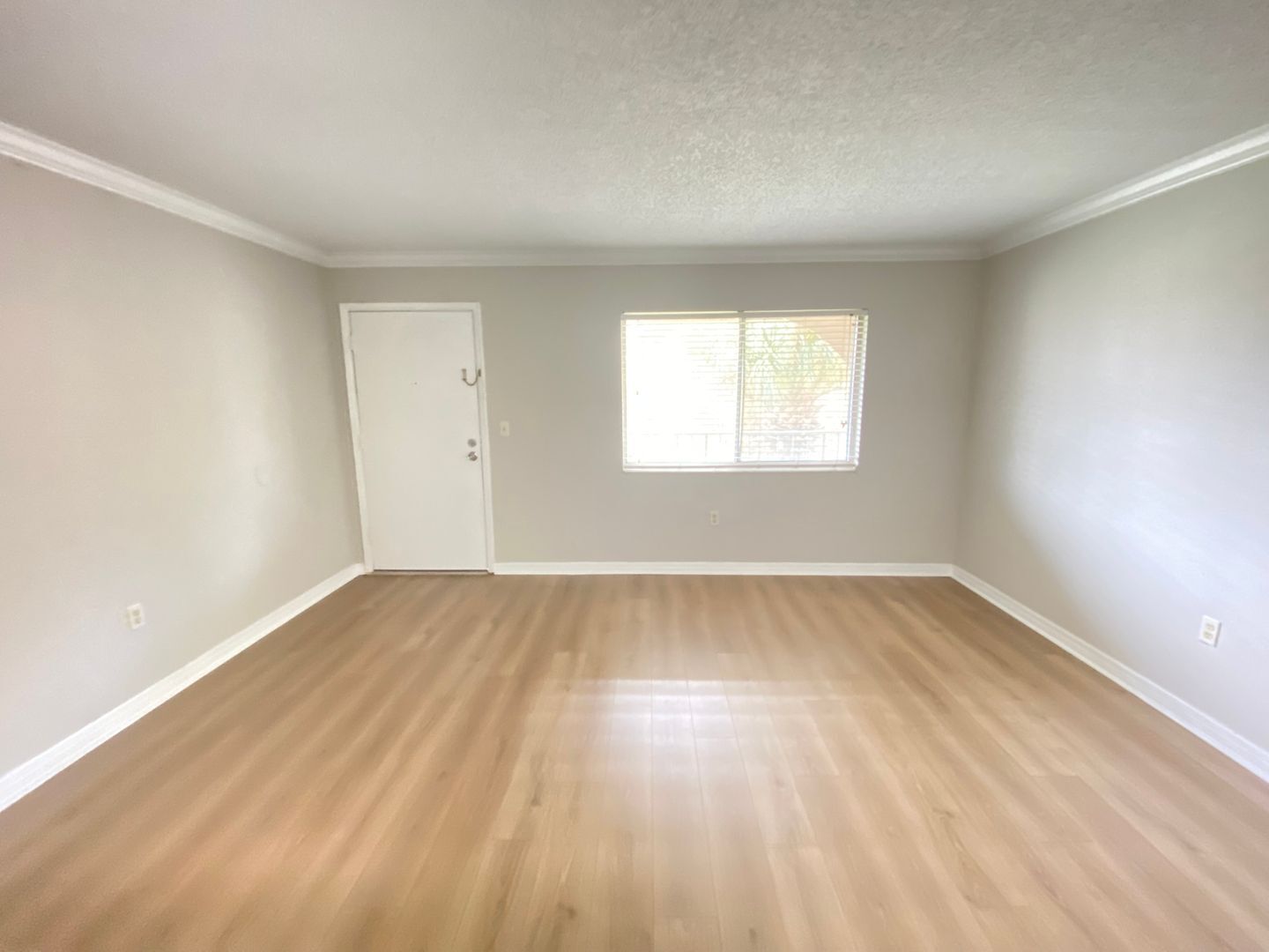 Building Photo - Waterside at Cranes Roost 1/1 Condo locate...