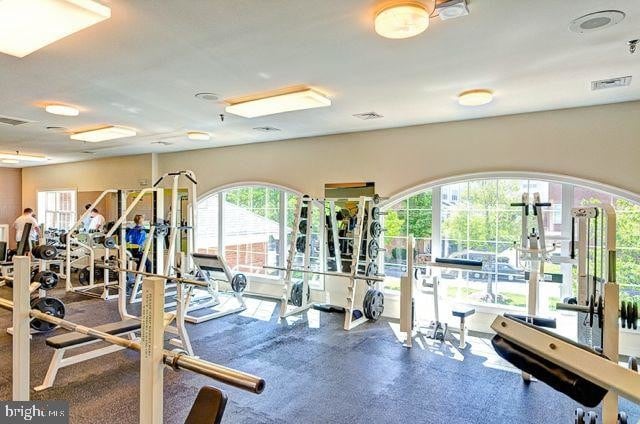 Building Photo - 5274 Pocosin Ln