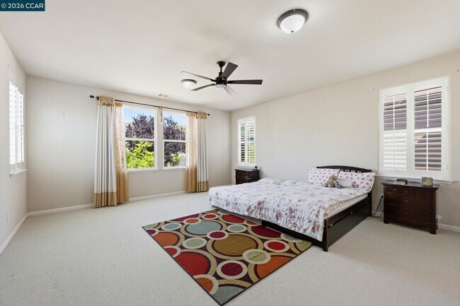 Building Photo - 165 Paddington Ct