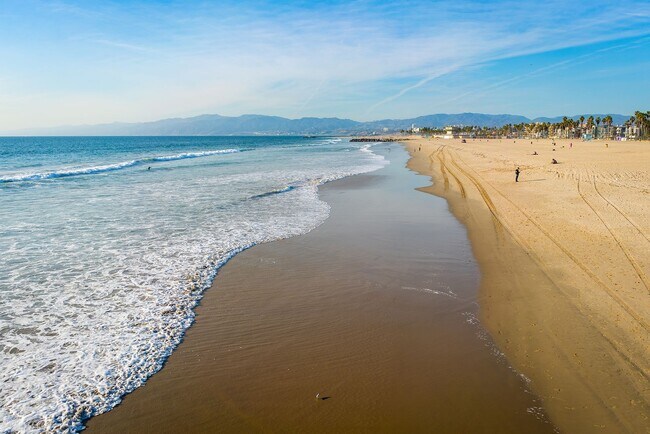 Building Photo - Warm & Inviting Venice Beach Rental Home!