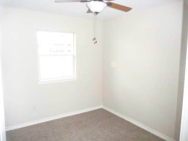Building Photo - Newly Remodeled
