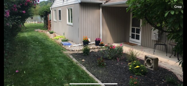 Side yard - 27030 County Road 653