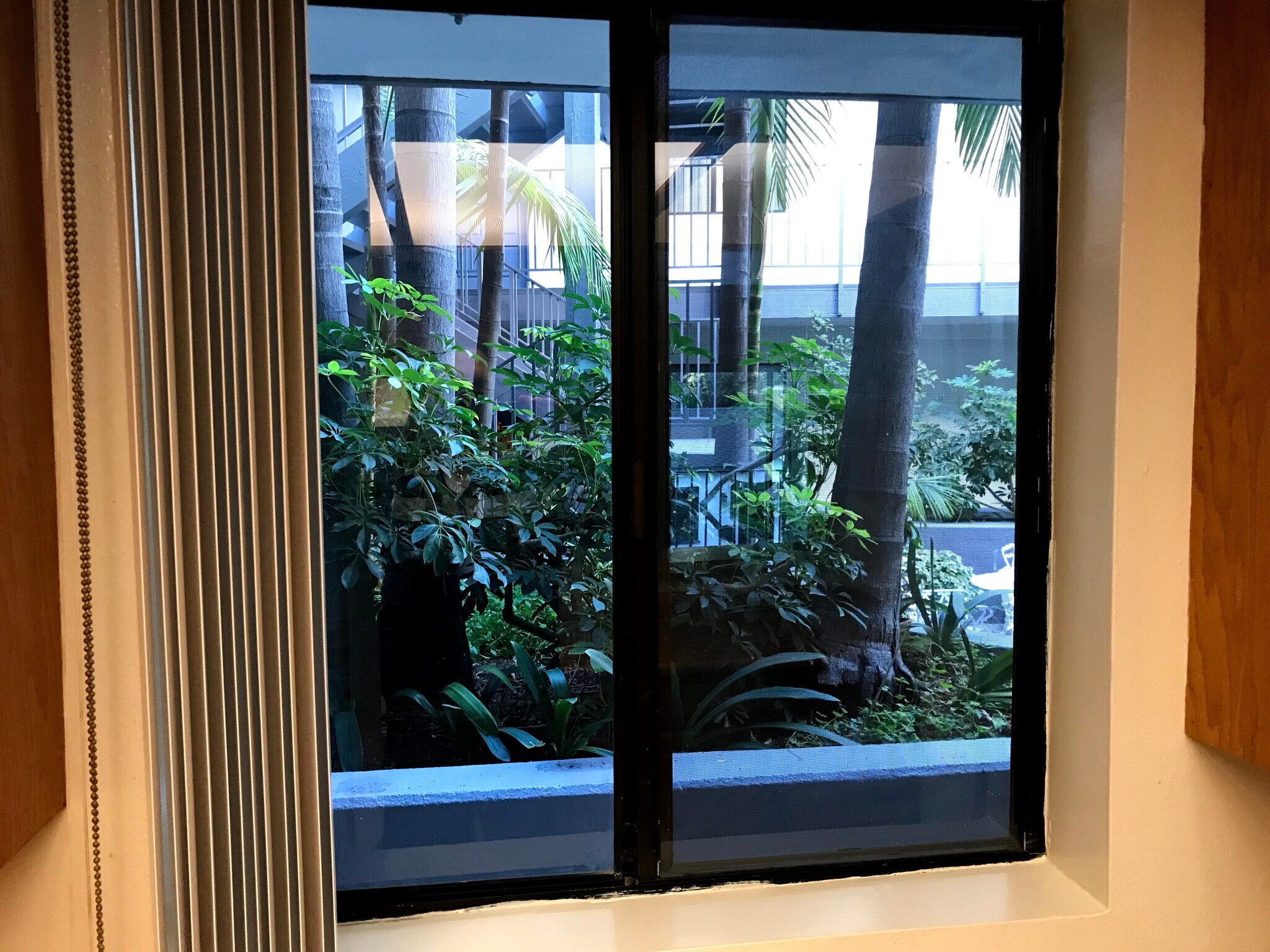 Kitchen view - 1830 N Verdugo Rd