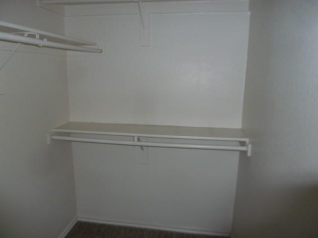 Building Photo - 2741 Lynx Ln