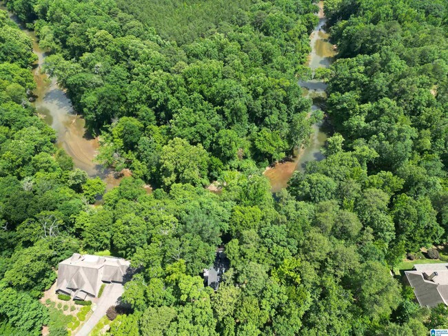 Building Photo - 2409 Cahaba River Estates