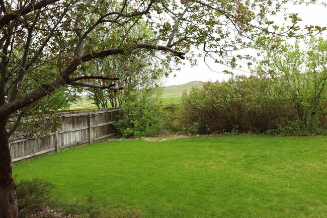 Building Photo - Beautiful 3-Bedroom Home in Rock Creek