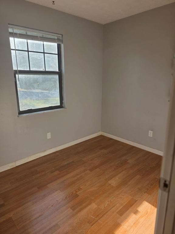 Building Photo - 2013 Maple Tree Ln