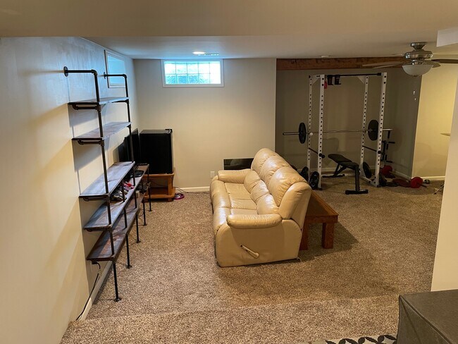 Basement. - 826 Hall St