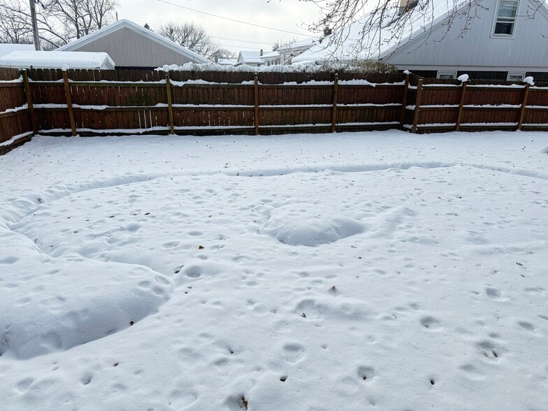 FENCED IN BACKYARD - 2525 W Abbott Ave
