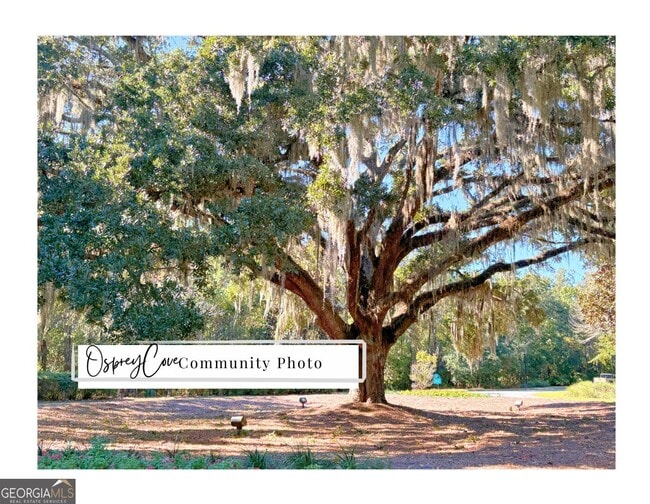 Building Photo - 312 Chinquapin Dr