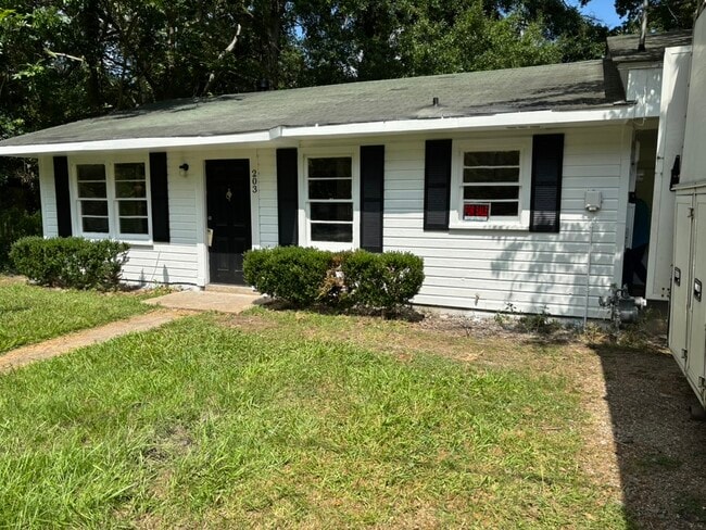 Primary Photo - 203 Newman St