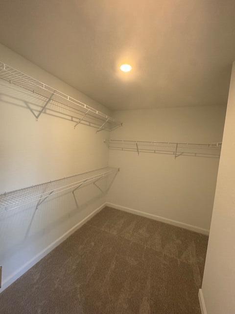 Building Photo - 4344 Hammock Grove Dr