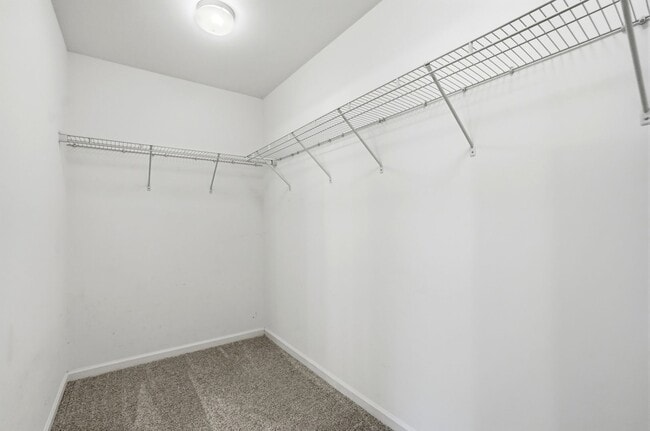 Building Photo - Spacious 4BR Home with New Carpet & Fenced Backyard