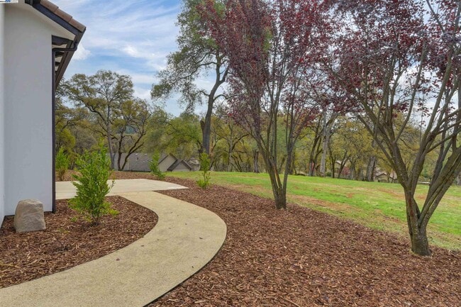 Building Photo - 12859 Austin Forest Cir