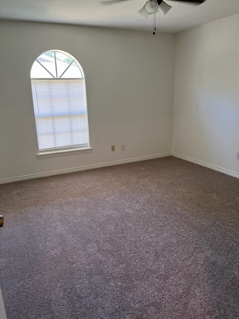 Building Photo - 1246 Park Dr