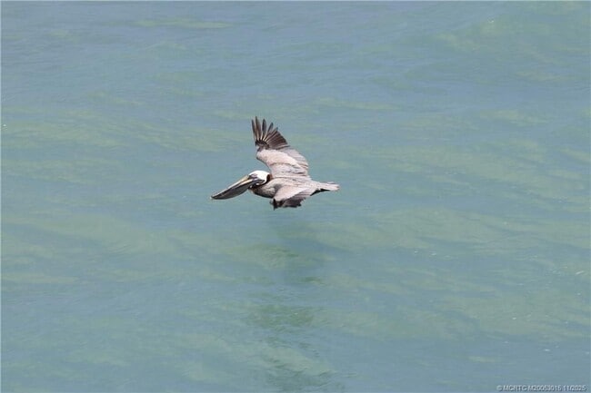 Building Photo - 7380 S Ocean Dr