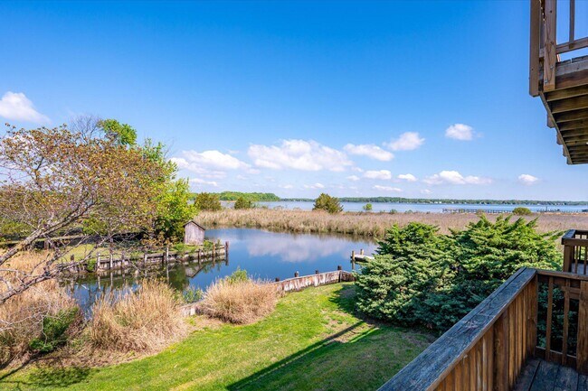 Building Photo - 1100 Paca Dr