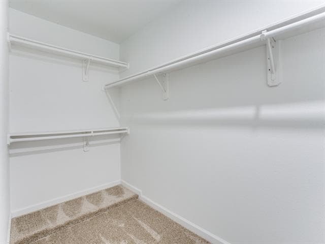 Building Photo - 333 Banyan Dr