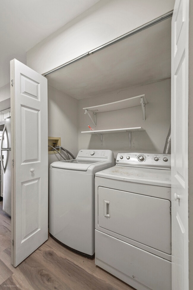 Building Photo - 231 Ivy Ct