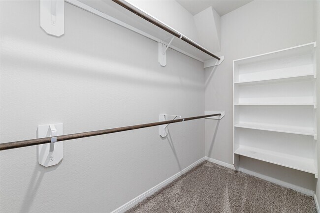 Building Photo - 5138 Royal Jasmine Pl