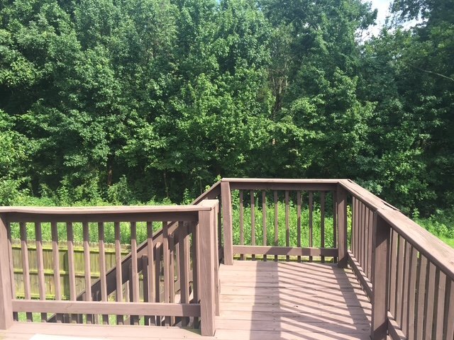 Building Photo - 3845 Ridgetop Cir