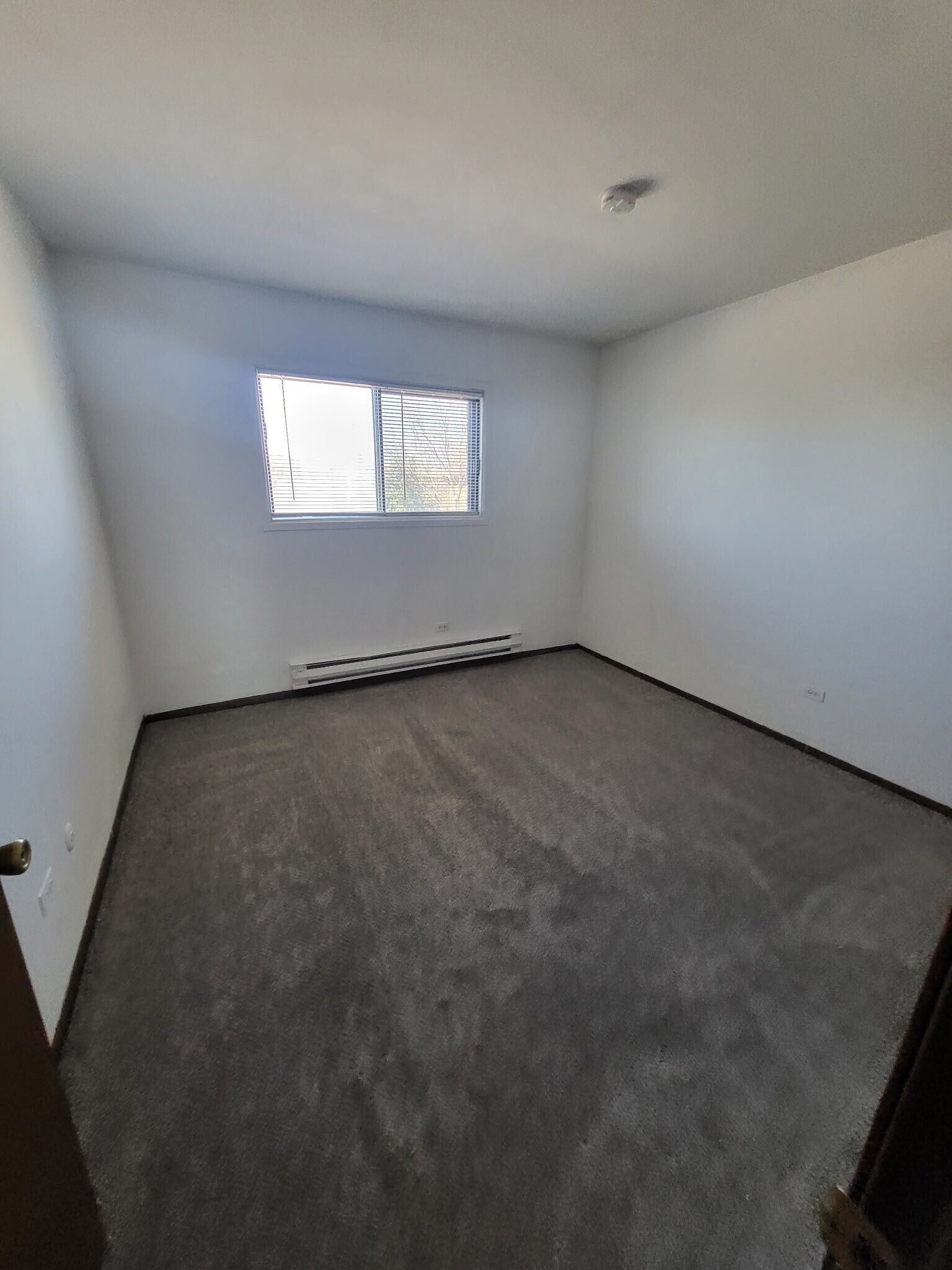 Building Photo - 1525 Norway Ln