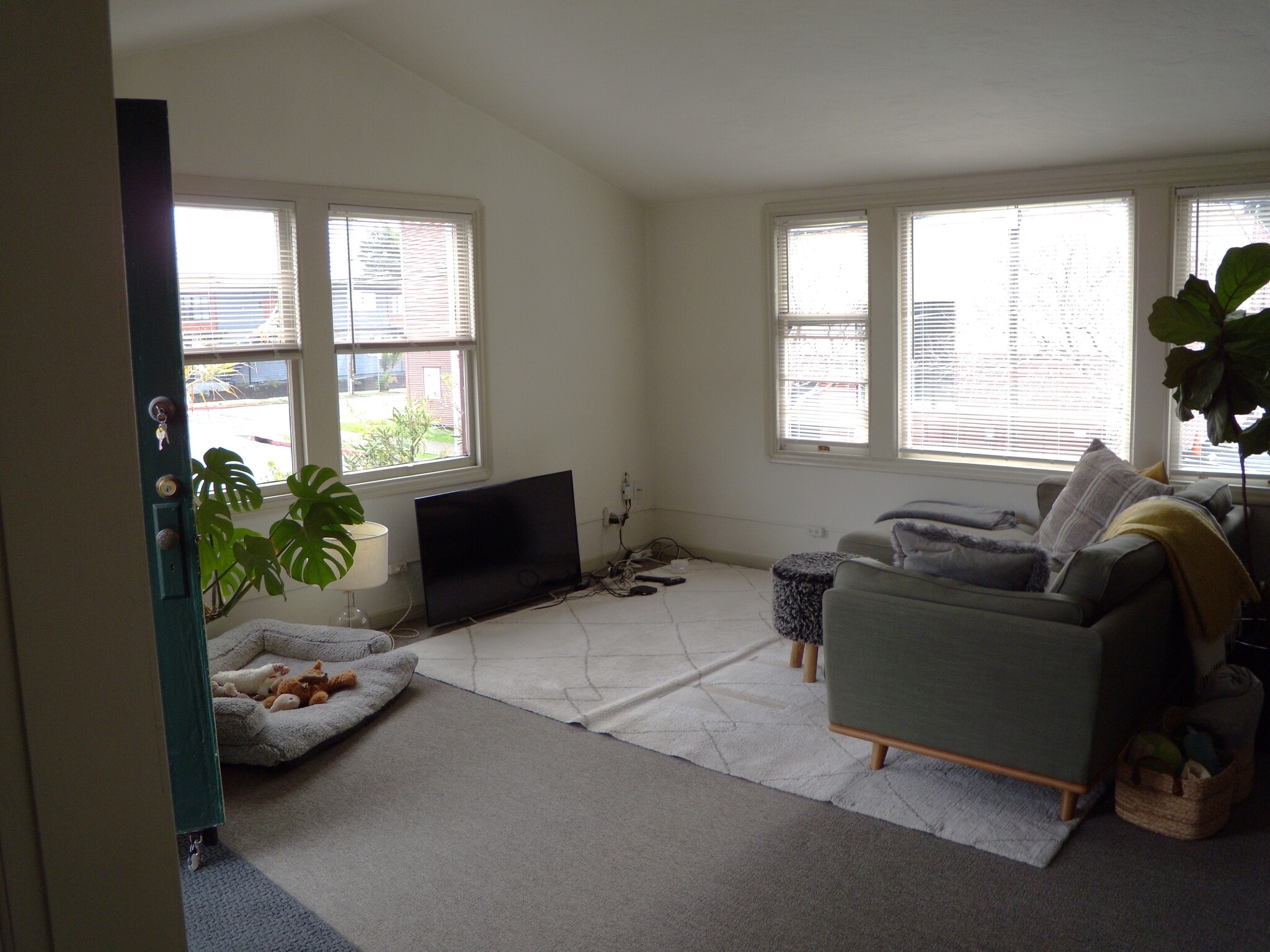 living room looking out to street - 913 Camelia St