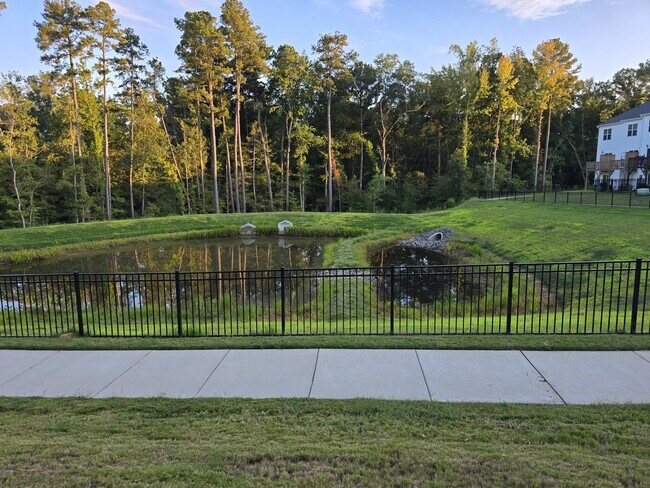 Building Photo - 4126 Trevino Dr