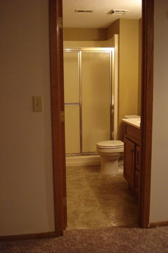Lower level bathroom - 2050 Bradley St
